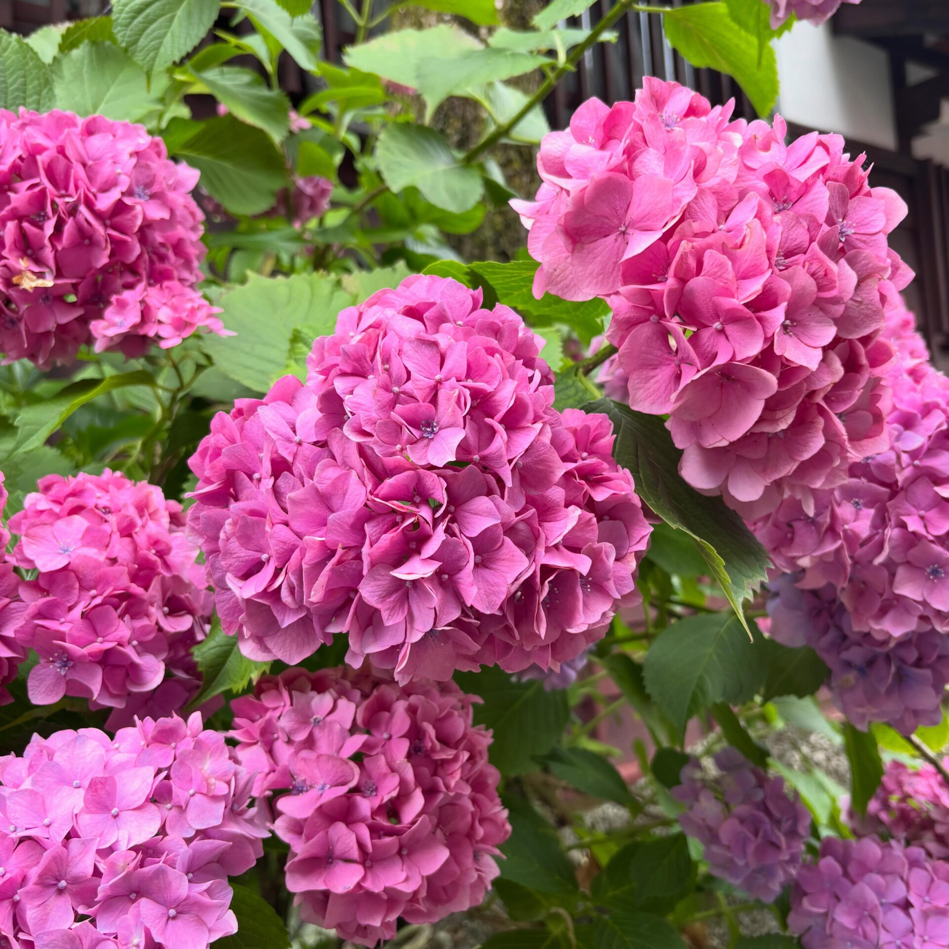 Instagramを更新しました!